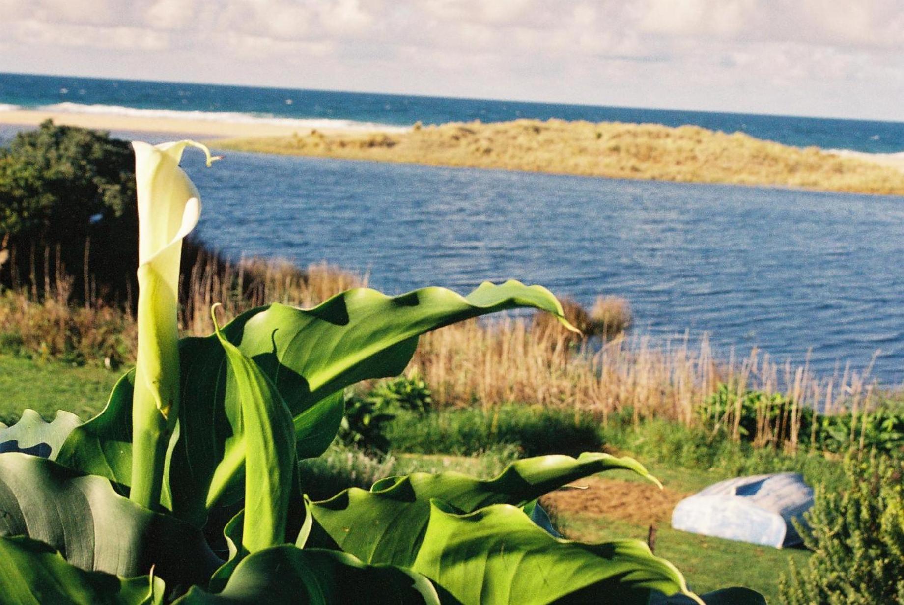 Apollo Bay Guest House Luaran gambar